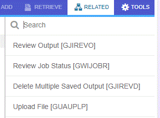 Process Submission Controls form (GJAPCTL)